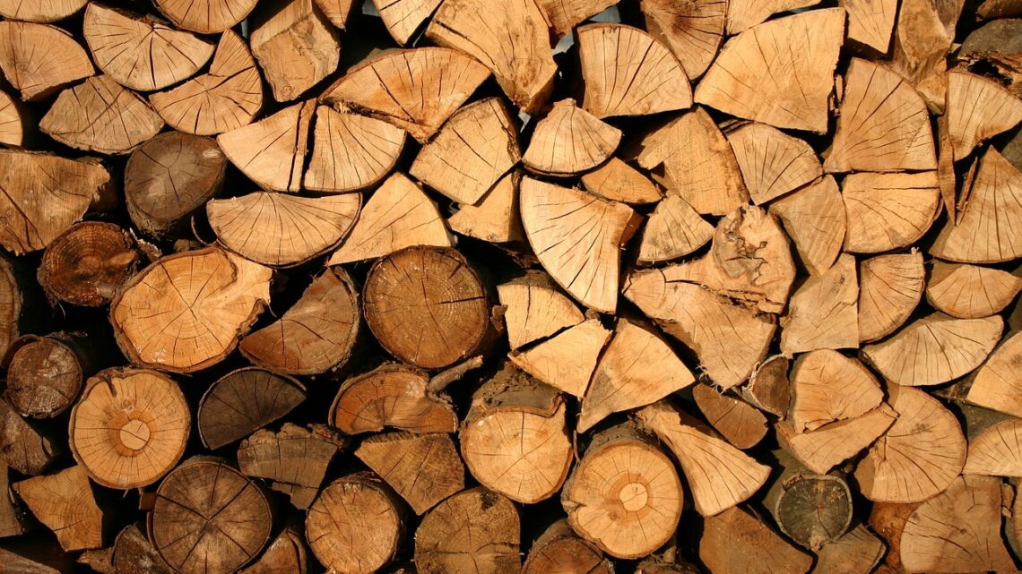Wie lange halten Gartenhäuser aus Holz? Vergleich der verschiedenen Holzarten Wie lange halten Gartenhäuser aus Holz? Vergleich der verschiedenen Holzarten