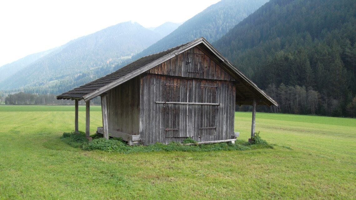 Welche Reinigungsmittel sollte man im Gartenhaus aufbewahren und immer parat stehen haben? Welche Reinigungsmittel sollte man im Gartenhaus aufbewahren und immer parat stehen haben?