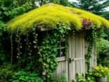 Wie man ein Gründach auf einem Gartenschuppen baut – Schritt-für-Schritt-Anleitung