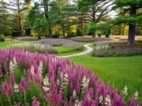 Heidegarten anlegen