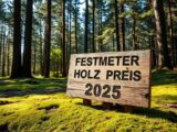 Festmeter Holz Preis: Aktuelle Brennholzkosten 2025