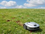 Mähroboter Hundekot: So vermeiden Sie Probleme