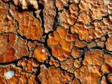 Versteinertes Holz Wirkung – Heilkraft der Minerale