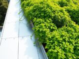 Wie lange hält ein Foliendach – Lebensdauer & Pflege